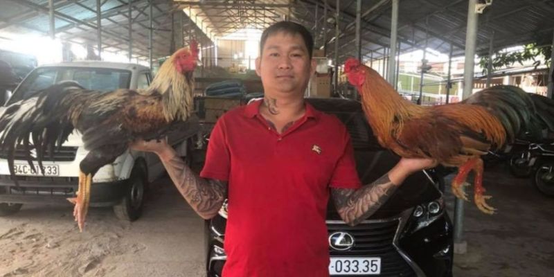 Tìm hiểu Mít Trà Cú là ai tai gemwin?